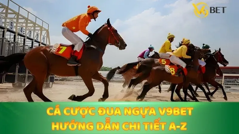 Những lưu ý quan trọng khi đặt cược đua ngựa