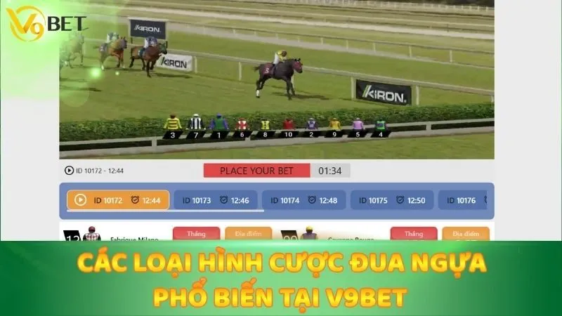 Các loại hình cược đua ngựa phổ biến tại V9bet