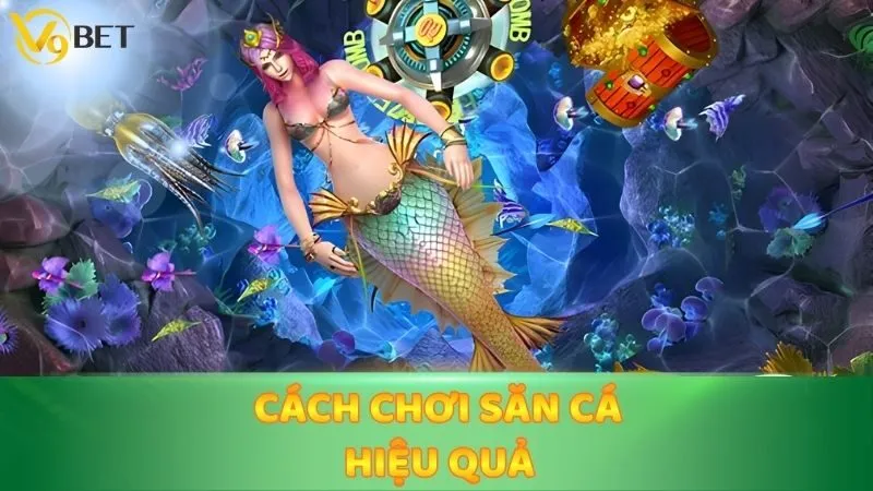 Cách chơi săn cá hiệu quả