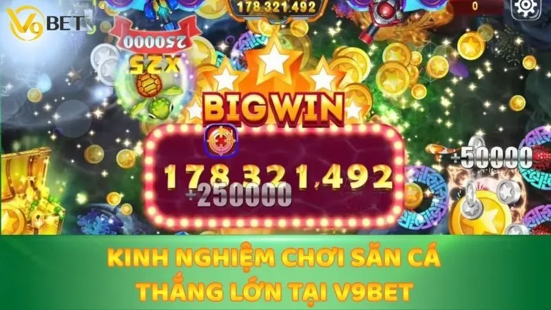 Kinh nghiệm chơi săn cá thắng lớn tại V9bet