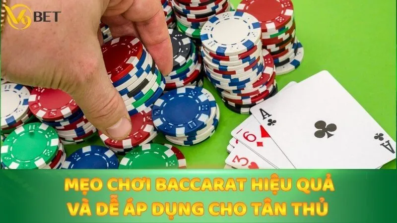 Mẹo chơi Baccarat hiệu quả và dễ áp dụng cho tân thủ